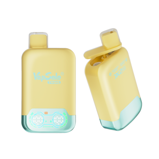 VapSolo Twins 20000